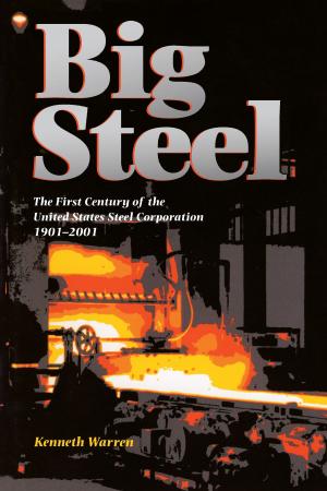 Cover of the book Big Steel by Robin Becker
