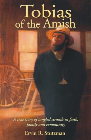 Book cover of Tobias of the Amish