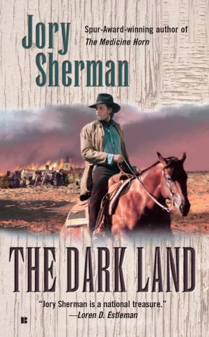 Cover of the book The Dark Land by John Jakes