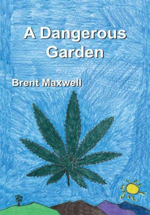Cover of the book A Dangerous Garden by James Hipsher