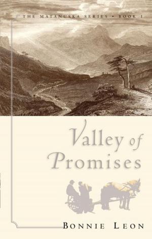 Book cover of Valley of Promises