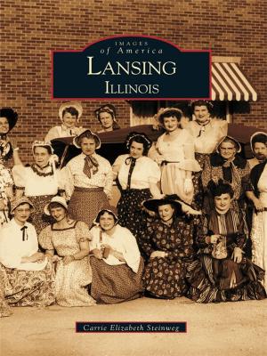 Cover of the book Lansing by John B. Manbeck