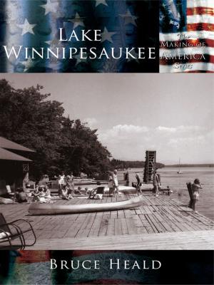 Cover of the book Lake Winnipesaukee by Amy Stewart-Wilmarth
