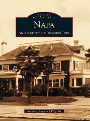 Cover of the book Napa by Phillip L. Wenz