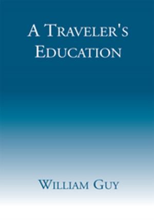 Cover of the book A Traveler's Education by J. Bernard Taylor