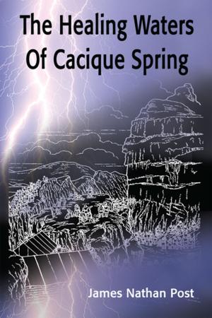 Cover of the book The Healing Waters of Cacique Spring by M. J. Specogna