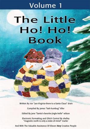 Cover of the book The Little Ho! Ho! Book by Mike Holst