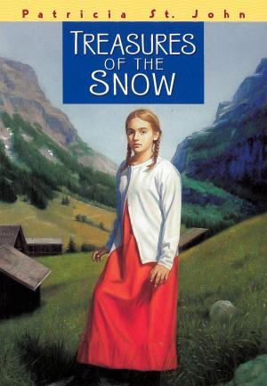 Cover of the book Treasures of the Snow by Jodi Woody