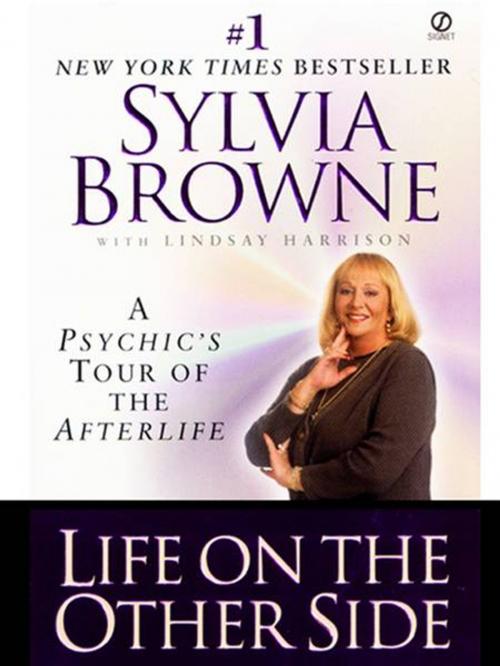 Cover of the book Life on the Other Side by Sylvia Browne, Lindsay Harrison, Penguin Publishing Group