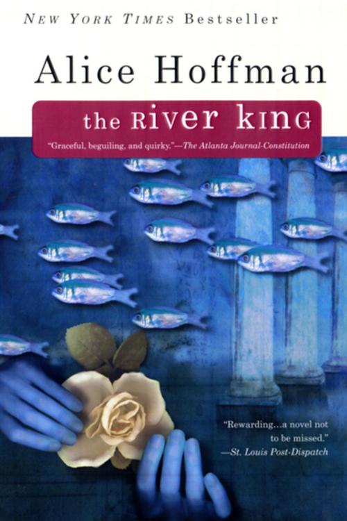 Cover of the book The River King by Alice Hoffman, Penguin Publishing Group
