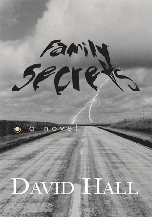 Cover of the book Family Secrets by David Hall, Xlibris US