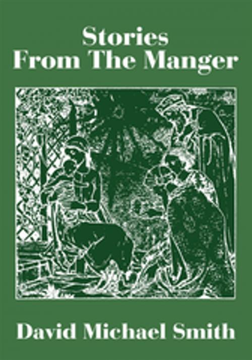 Cover of the book Stories from the Manger by David Micheal Smith, iUniverse