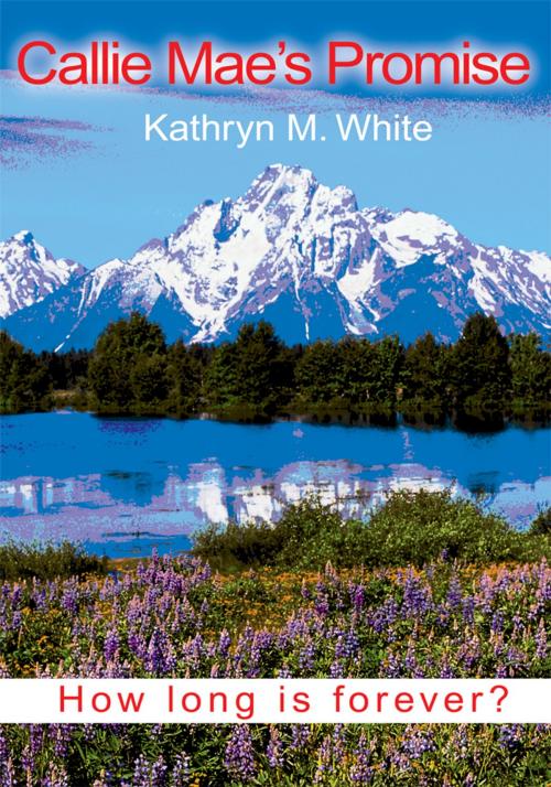 Cover of the book Callie Mae's Promise by Kathryn M White, iUniverse