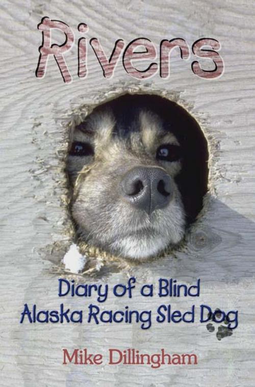 Cover of the book Rivers: Diary of a Blind Alaska Racing Sled Dog by Mike Dillingham, Publication Consultants