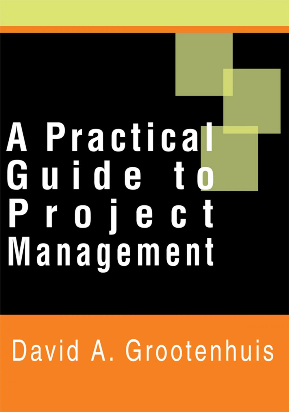 Big bigCover of A Practical Guide to Project Management