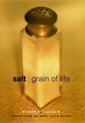 Cover of the book Salt by David Gussak, PhD, ATR-BC