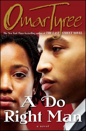 Cover of the book A Do Right Man by RM Johnson
