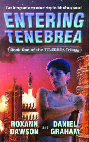 Cover of the book Entering Tenebrea by Jeffrey Kosh