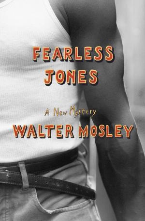 Book cover of Fearless Jones