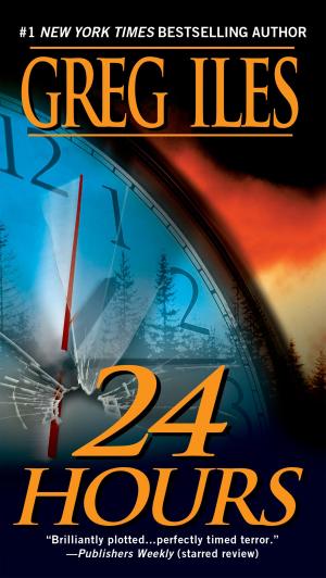 Cover of the book 24 Hours by Sarah Elizabeth