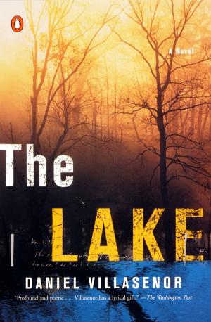 Cover of the book The Lake by Cosimo Vitiello