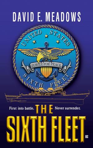 bigCover of the book The Sixth Fleet by 