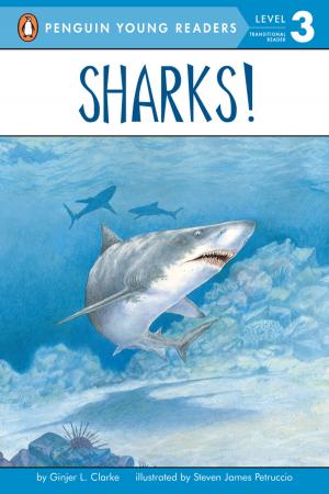 Book cover of Sharks!