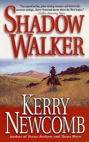 Cover of the book Shadow Walker by Cathy Crimmins