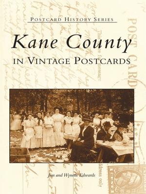 Cover of the book Kane County in Vintage Postcards by Faith Sheila McClenny
