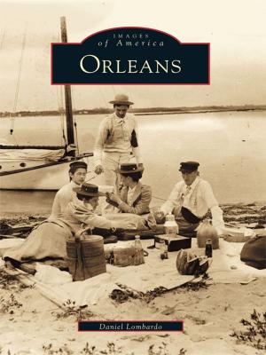 Cover of the book Orleans by Michael Morgan