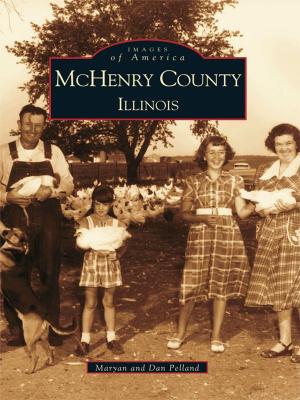 Cover of the book McHenry County, Illinois by Trini L. Wenninger