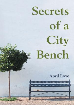 Cover of the book Secrets of a City Bench by Robin M. Berard