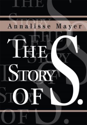 Cover of the book The Story of S. by Michael Rogers