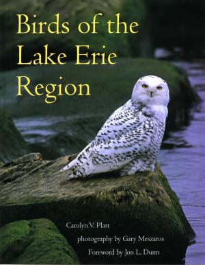 Book cover of Birds of the Lake Erie Region