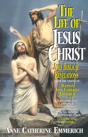 Cover of the book The Life of Jesus Christ and Biblical Revelations by Père Binet