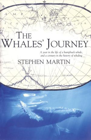 Cover of the book The Whales' Journey by Ricky Megee, Greg McLean