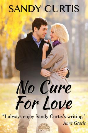 Cover of the book No Cure for Love by Valerie Francis