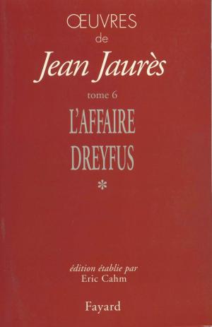 Cover of the book Oeuvres, tome 6 by Julia Malye