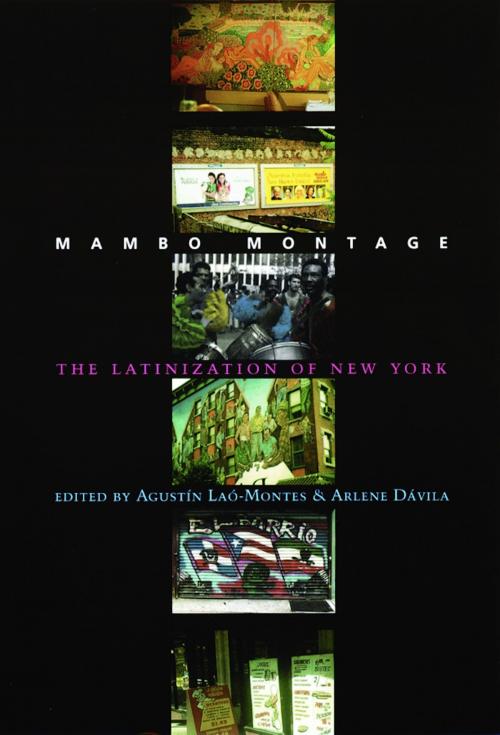 Cover of the book Mambo Montage by , Columbia University Press