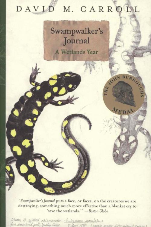 Cover of the book Swampwalker's Journal by David M. Carroll, Houghton Mifflin Harcourt