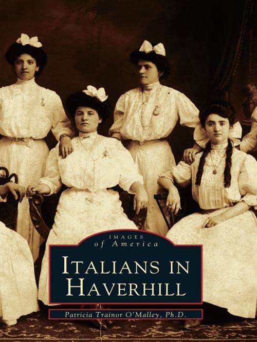Cover of the book Italians in Haverhill by Patricia Trainor O’Malley Ph.D., Arcadia Publishing Inc.