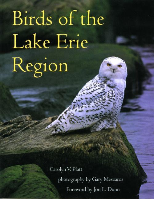 Cover of the book Birds of the Lake Erie Region by Carolyn V. Platt, Kent State University Press