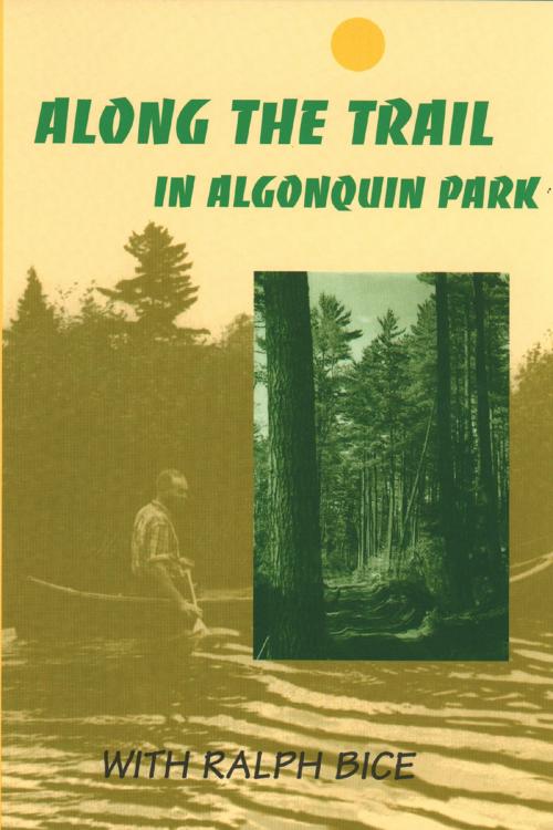 Cover of the book Along the Trail in Algonquin Park by Ralph Bice, Dundurn