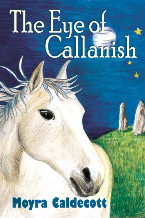 Cover of the book The Eye of Callanish by Moyra Caldecott, Mushroom Publishing