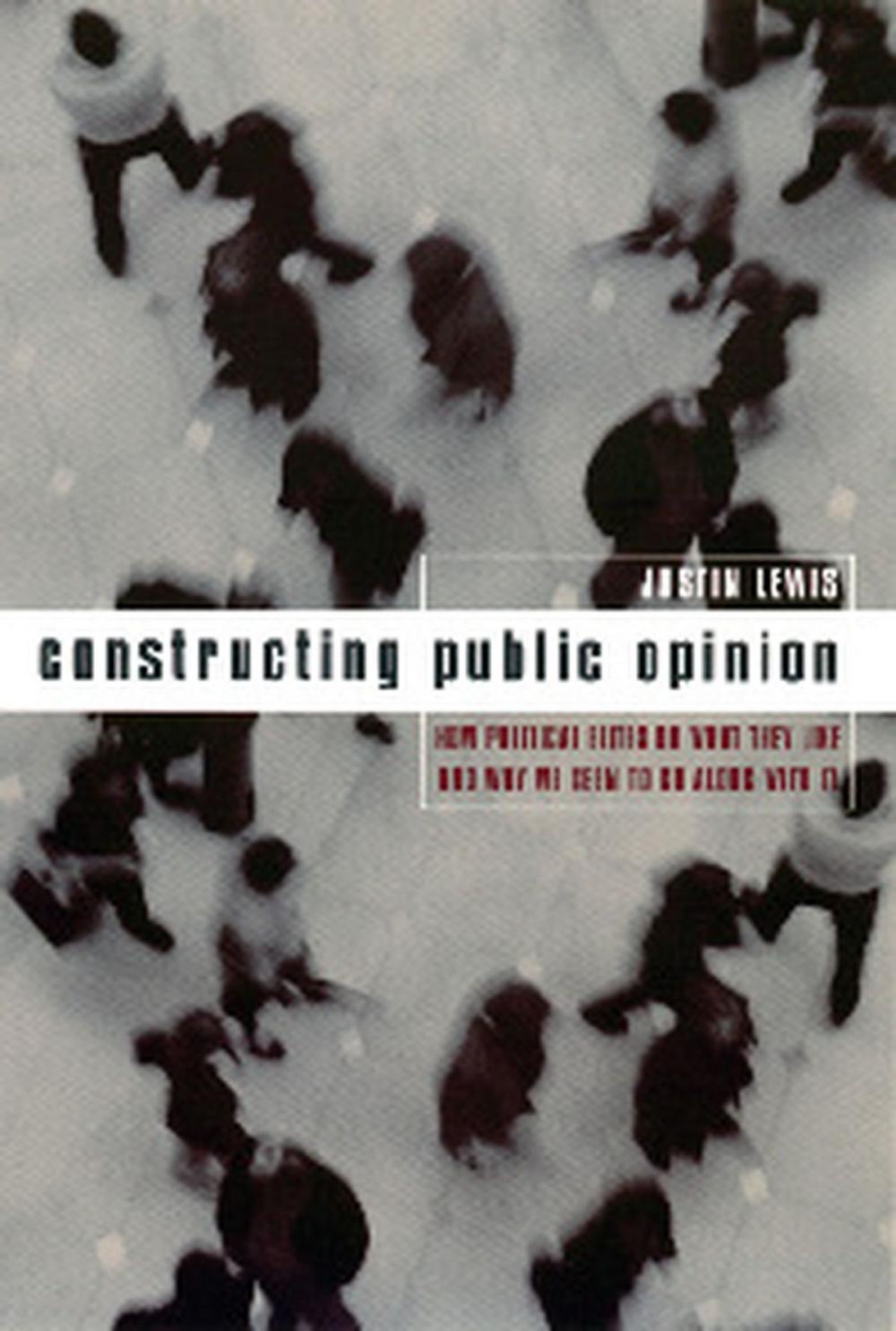 Big bigCover of Constructing Public Opinion