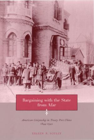 bigCover of the book Bargaining with the State from Afar by 