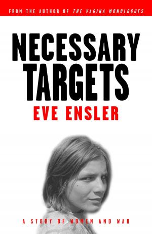 Cover of the book Necessary Targets by Michael Palmer