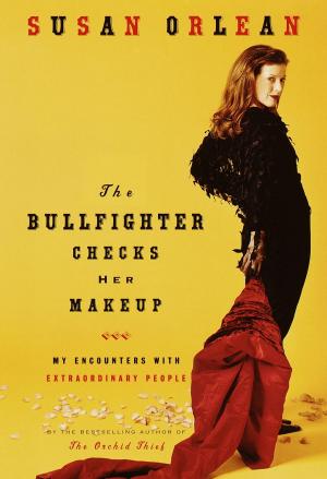 Cover of the book The Bullfighter Checks Her Makeup by Robyn Sisman