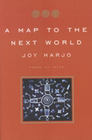 bigCover of the book A Map to the Next World: Poems and Tales by 
