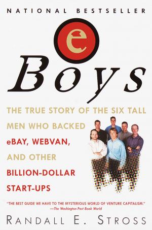 Cover of the book eBoys by Martijn Arets